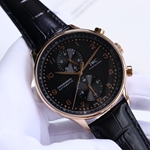 iwc-watch 時計 コピー SS品 激安